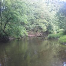 Spływy kajakowe Rawką. Wypożyczalnia kajaków. Kajaki na weekend. Zapraszamy na kajaki, grill i ognisko na naszej polanie