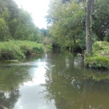 Spływy kajakowe Rawką. Wypożyczalnia kajaków. Kajaki na weekend. Zapraszamy na kajaki, grill i ognisko na naszej polanie