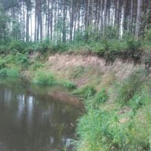 Spływy kajakowe Rawką. Wypożyczalnia kajaków. Kajaki na weekend. Zapraszamy na kajaki, grill i ognisko na naszej polanie