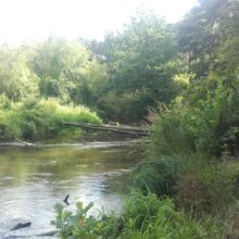 Spływy kajakowe Rawką. Wypożyczalnia kajaków. Kajaki na weekend. Zapraszamy na kajaki, grill i ognisko na naszej polanie